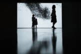 RANDOM INTERNATIONAL, Algorithmic Swarm Study / I, 2019. Multi-Channel Video Installation. Exhibited as part of Out of Control exhibition at Museum of Contemporary Art Busan, 2019