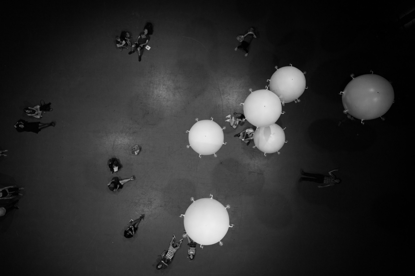 RANDOM INTERNATIONAL, Zoological, 2017. Exhibited at Roundhouse, London, as part of Wayne McGregor’s +/- HUMAN