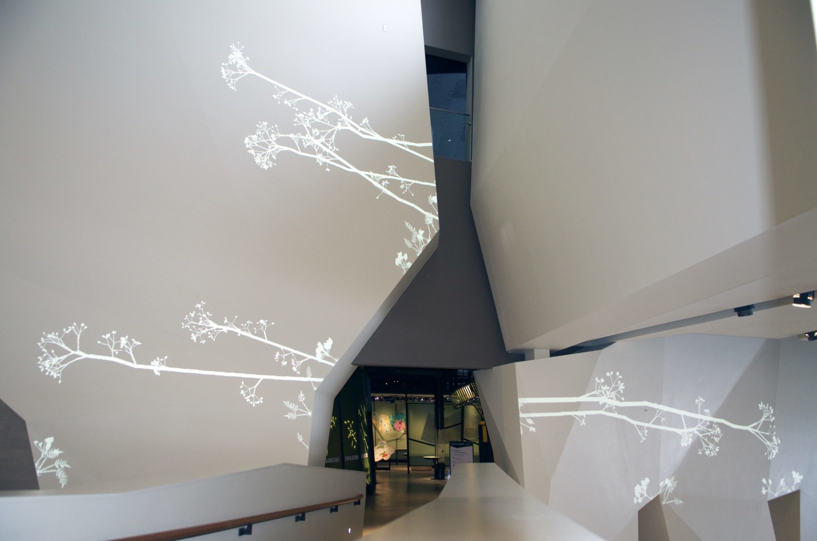 Simon Heijdens, Lightweeds, 2005-ongoing Natural History Museum of Utah, Salt Lake City, 2011