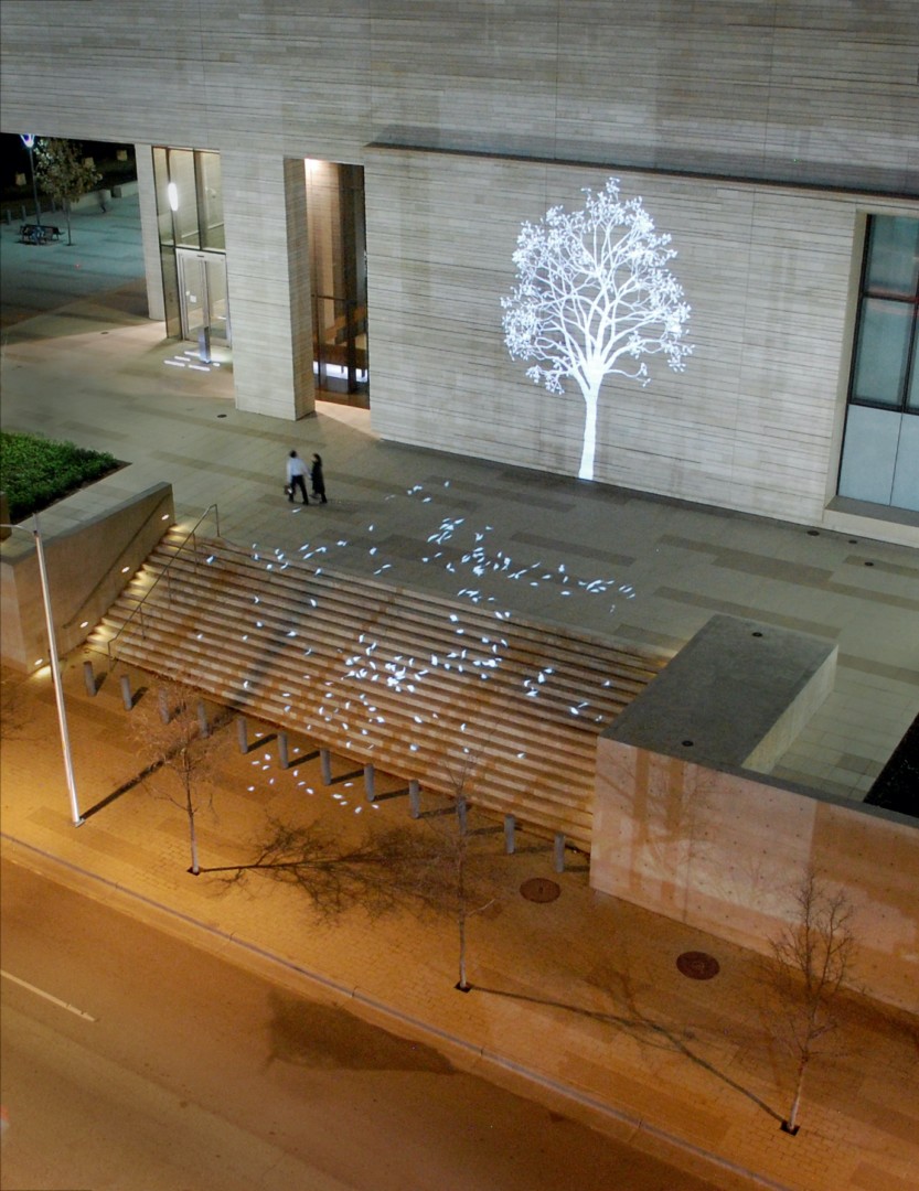 Simon Heijdens, Tree, 2004-ongoing SXSW, Downtown Austin, Texas, 2014