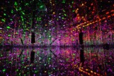 teamLab, Microcosmoses, 2019. Interactive Installation