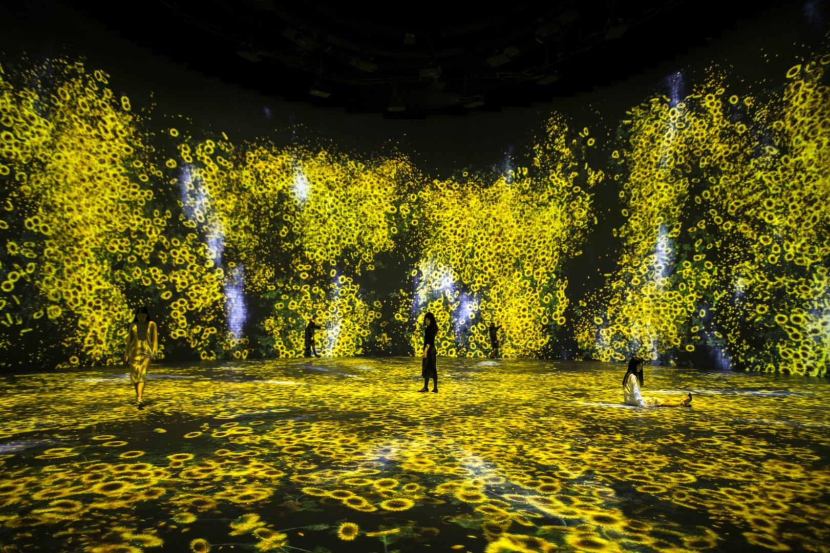 teamLab, Flowers and People, Cannot be Controlled but Live Together - Transcending Boundaries, A Whole Year per Hour, 2017. Interactive Digital Installation