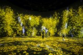 teamLab, Flowers and People, Cannot be Controlled but Live Together - Transcending Boundaries, A Whole Year per Hour, 2017. Interactive Digital Installation